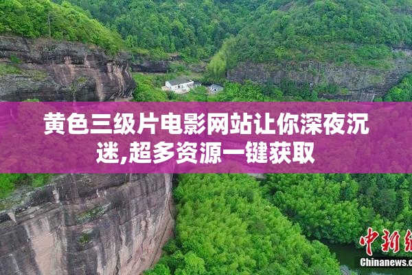 黄色三级片电影网站让你深夜沉迷,超多资源一键获取