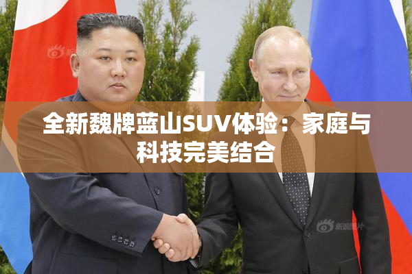 全新魏牌蓝山SUV体验：家庭与科技完美结合