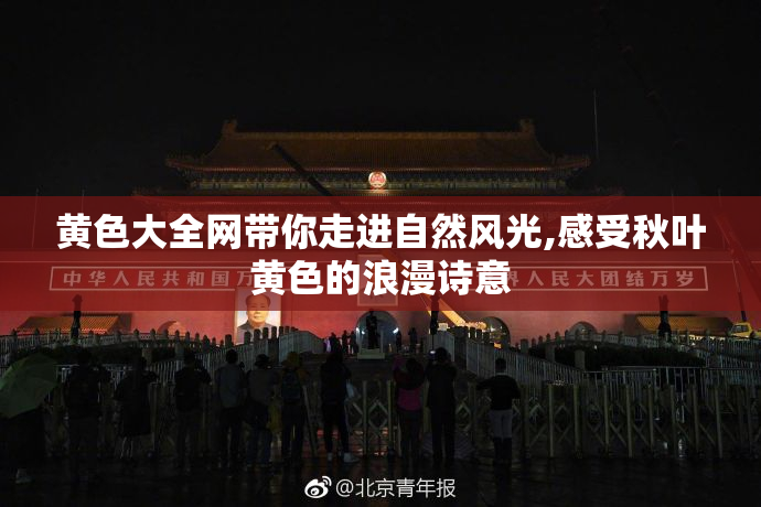 黄色大全网带你走进自然风光,感受秋叶黄色的浪漫诗意