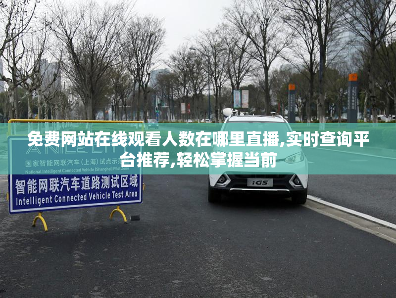 免费网站在线观看人数在哪里直播,实时查询平台推荐,轻松掌握当前