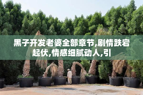 黑子开发老婆全部章节,剧情跌宕起伏,情感细腻动人,引