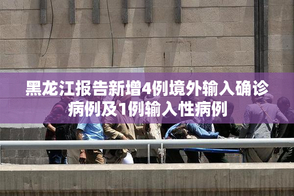 黑龙江报告新增4例境外输入确诊病例及1例输入性病例