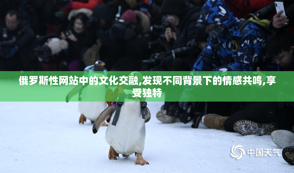俄罗斯性网站中的文化交融,发现不同背景下的情感共鸣,享受独特