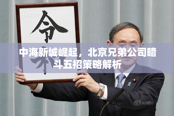 中海新城崛起，北京兄弟公司暗斗五招策略解析