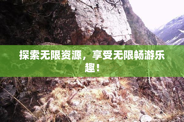 探索无限资源，享受无限畅游乐趣！