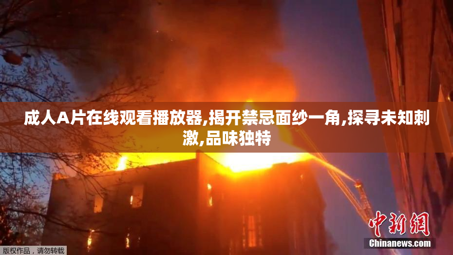 成人A片在线观看播放器,揭开禁忌面纱一角,探寻未知刺激,品味独特