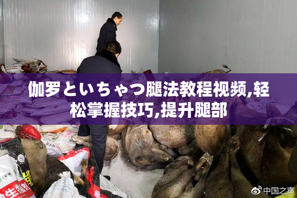伽罗といちゃつ腿法教程视频,轻松掌握技巧,提升腿部