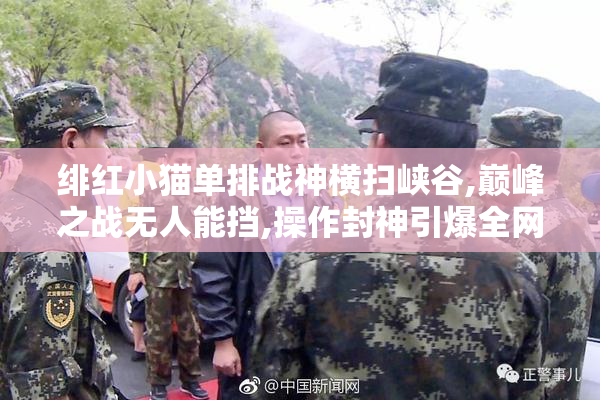 绯红小猫单排战神横扫峡谷,巅峰之战无人能挡,操作封神引爆全网