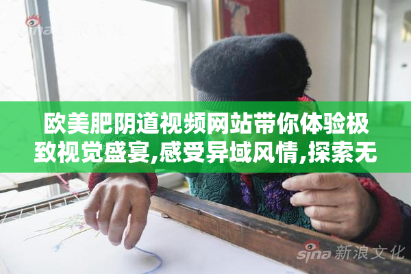 欧美肥阴道视频网站带你体验极致视觉盛宴,感受异域风情,探索无尽