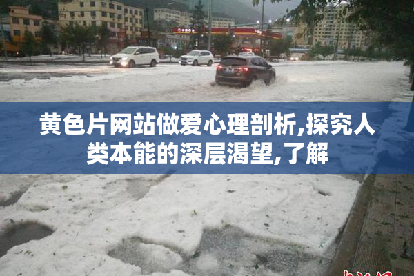 黄色片网站做爱心理剖析,探究人类本能的深层渴望,了解