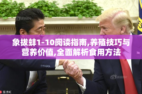 象拔蚌1-10阅读指南,养殖技巧与营养价值,全面解析食用方法