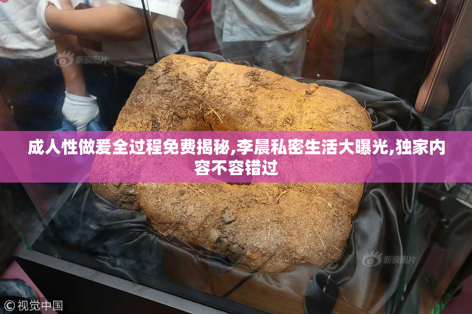 成人性做爰全过程免费揭秘,李晨私密生活大曝光,独家内容不容错过