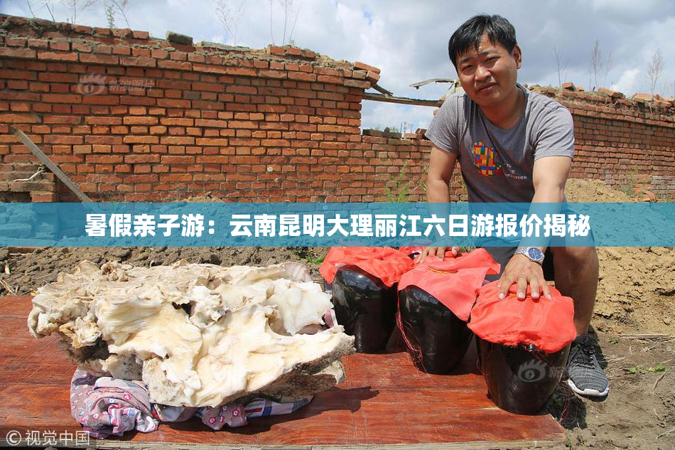 暑假亲子游：云南昆明大理丽江六日游报价揭秘