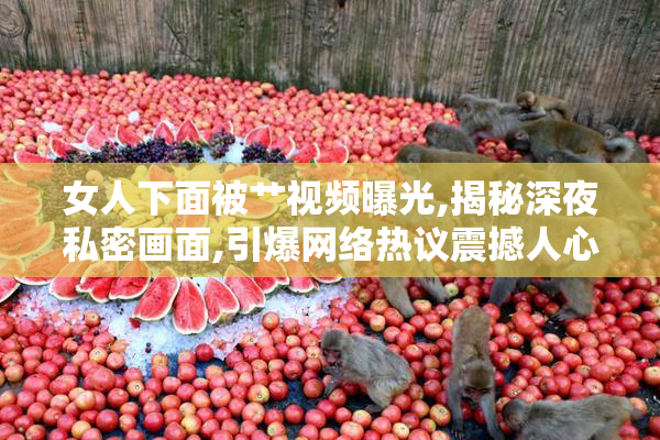 女人下面被艹视频曝光,揭秘深夜私密画面,引爆网络热议震撼人心