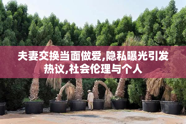 夫妻交换当面做爱,隐私曝光引发热议,社会伦理与个人