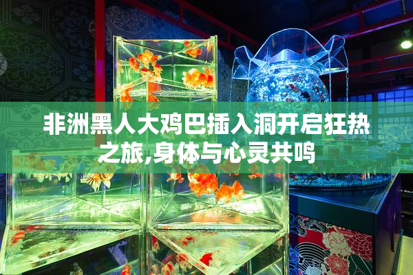 非洲黑人大鸡巴插入洞开启狂热之旅,身体与心灵共鸣