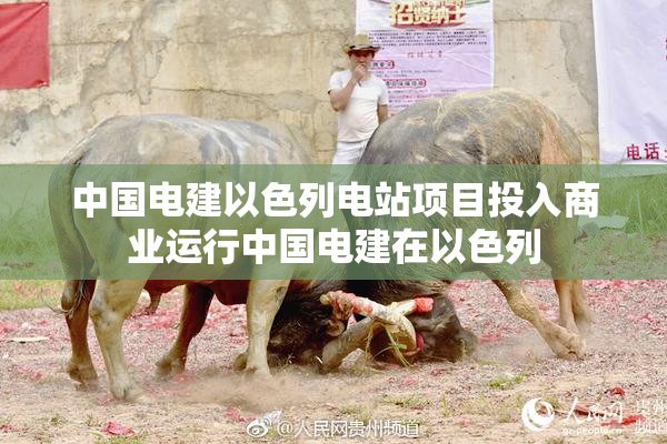 中国电建以色列电站项目投入商业运行中国电建在以色列