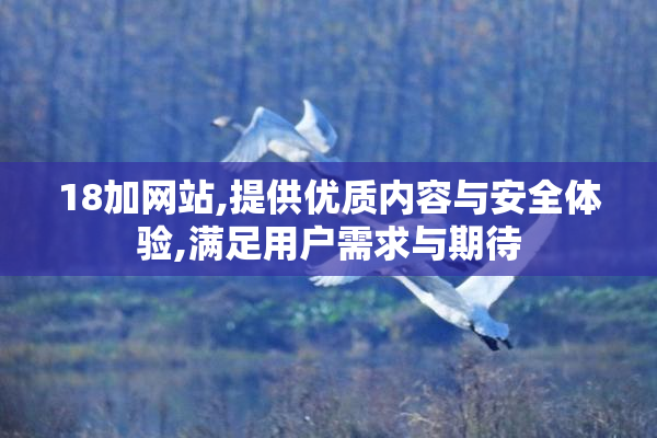 18加网站,提供优质内容与安全体验,满足用户需求与期待