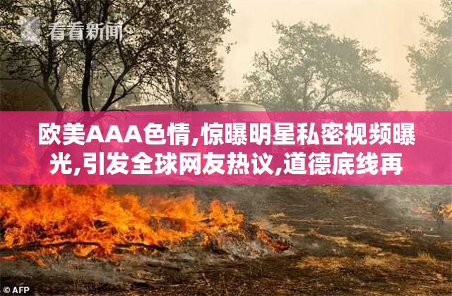 欧美AAA色情,惊曝明星私密视频曝光,引发全球网友热议,道德底线再