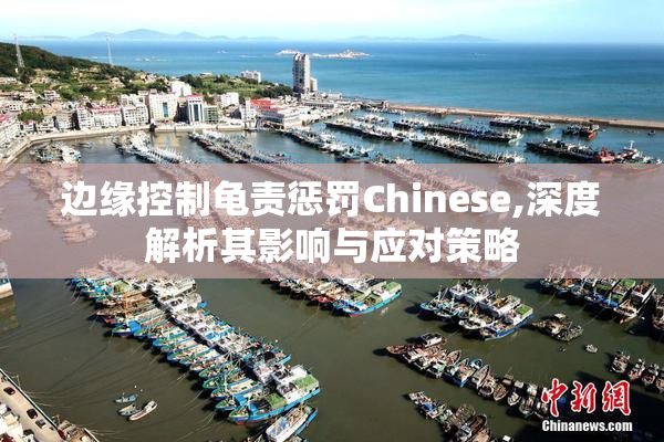 边缘控制龟责惩罚Chinese,深度解析其影响与应对策略