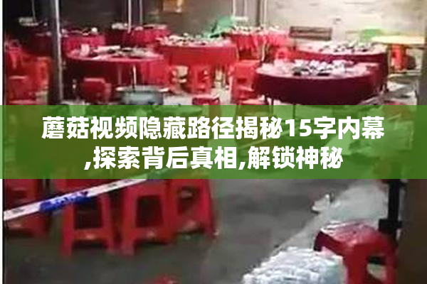 蘑菇视频隐藏路径揭秘15字内幕,探索背后真相,解锁神秘