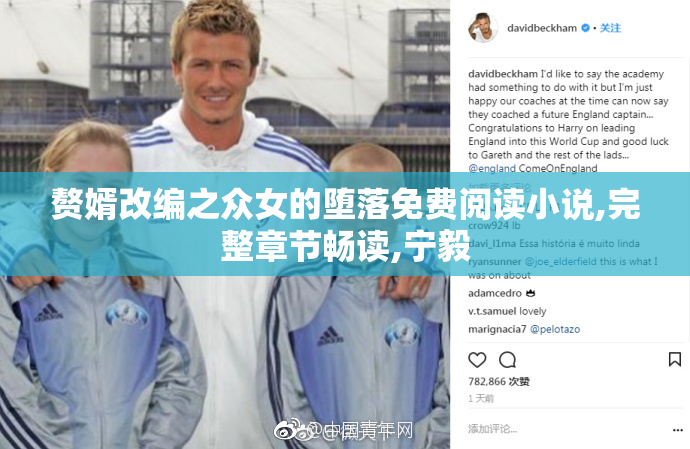 赘婿改编之众女的堕落免费阅读小说,完整章节畅读,宁毅