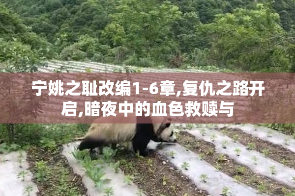 宁姚之耻改编1-6章,复仇之路开启,暗夜中的血色救赎与
