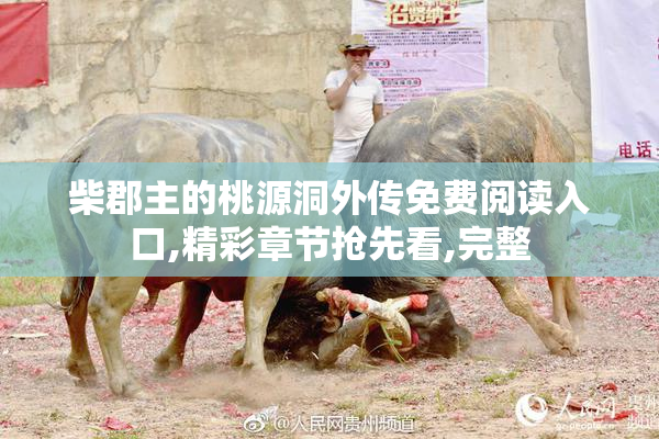 柴郡主的桃源洞外传免费阅读入口,精彩章节抢先看,完整