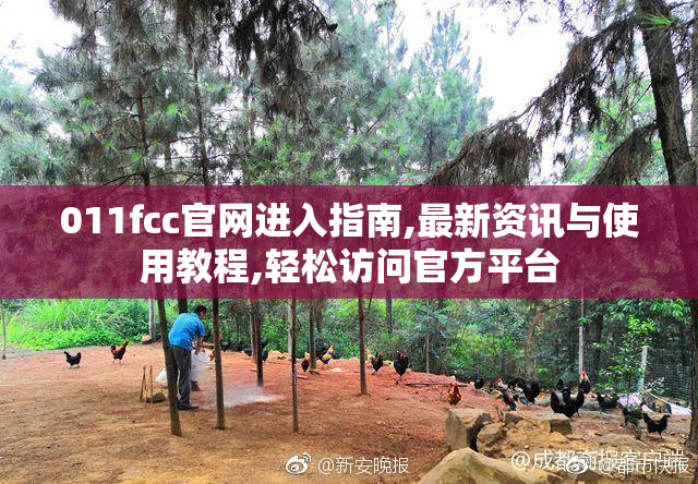 011fcc官网进入指南,最新资讯与使用教程,轻松访问官方平台