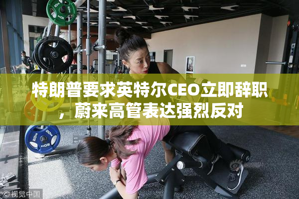 特朗普要求英特尔CEO立即辞职，蔚来高管表达强烈反对