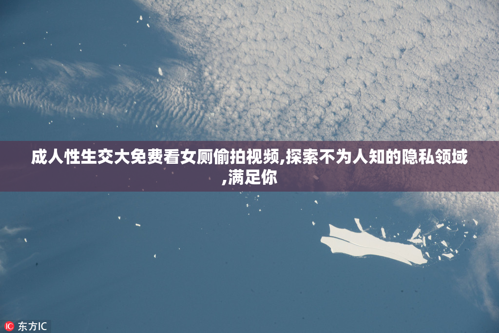 成人性生交大免费看女厕偷拍视频,探索不为人知的隐私领域,满足你