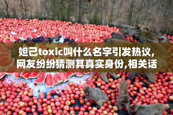 妲己toxic叫什么名字引发热议,网友纷纷猜测其真实身份,相关话题