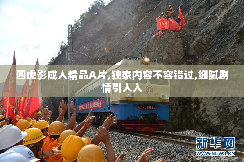 四虎影成人精品A片,独家内容不容错过,细腻剧情引人入