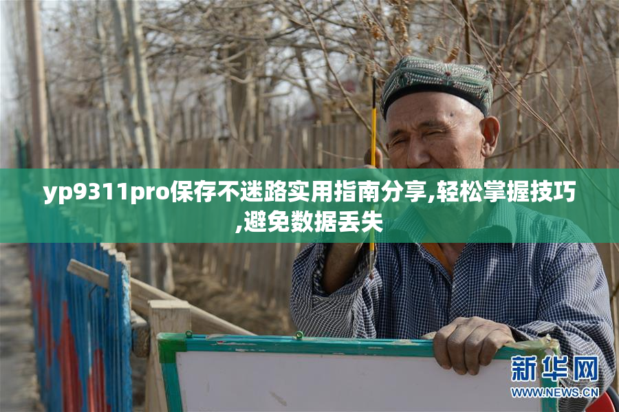 yp9311pro保存不迷路实用指南分享,轻松掌握技巧,避免数据丢失