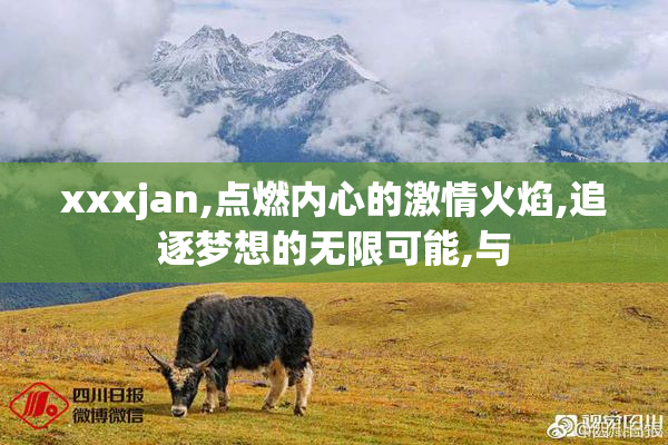 xxxjan,点燃内心的激情火焰,追逐梦想的无限可能,与