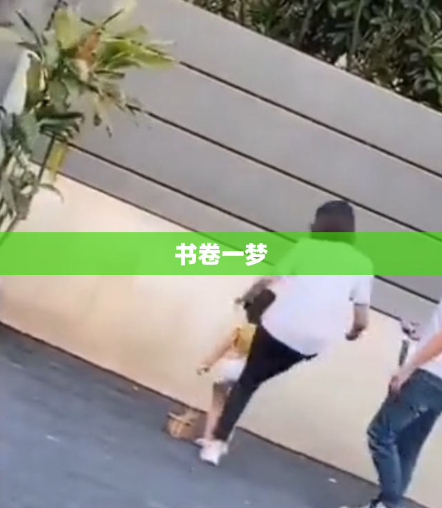 书卷一梦