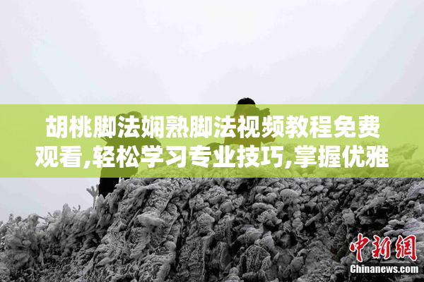 胡桃脚法娴熟脚法视频教程免费观看,轻松学习专业技巧,掌握优雅