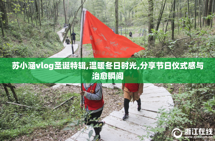 苏小涵vlog圣诞特辑,温暖冬日时光,分享节日仪式感与治愈瞬间