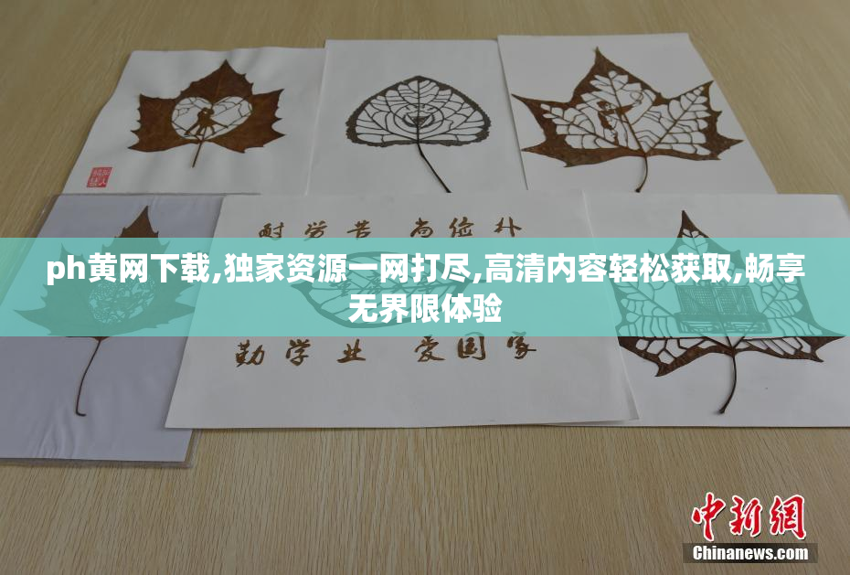 ph黄网下载,独家资源一网打尽,高清内容轻松获取,畅享无界限体验