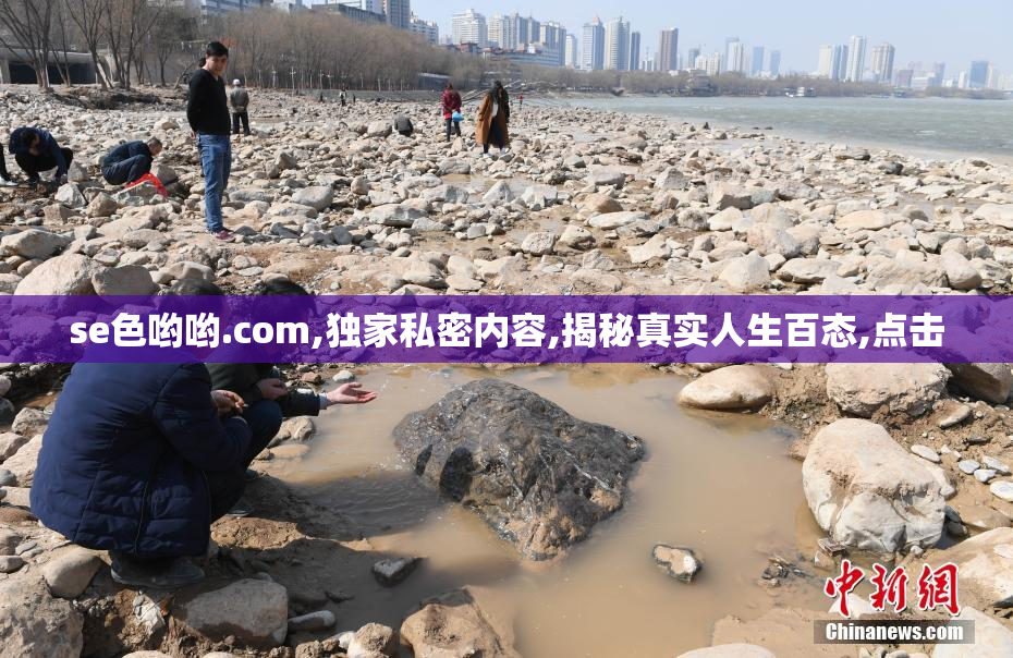 se色哟哟.com,独家私密内容,揭秘真实人生百态,点击