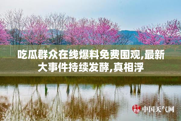 吃瓜群众在线爆料免费围观,最新大事件持续发酵,真相浮