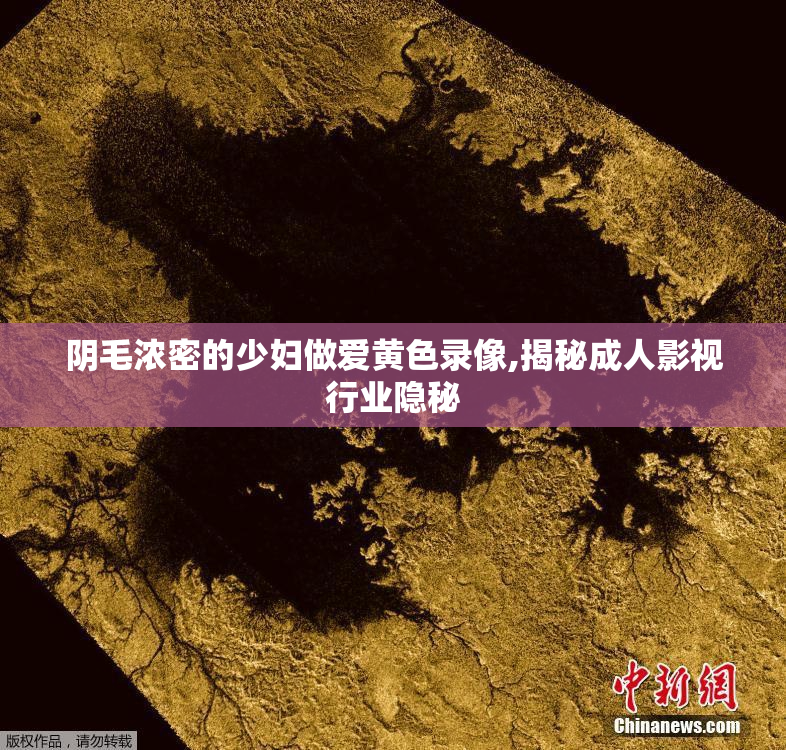 阴毛浓密的少妇做爱黄色录像,揭秘成人影视行业隐秘