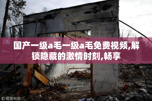 国产一级a毛一级a毛免费视频,解锁隐藏的激情时刻,畅享