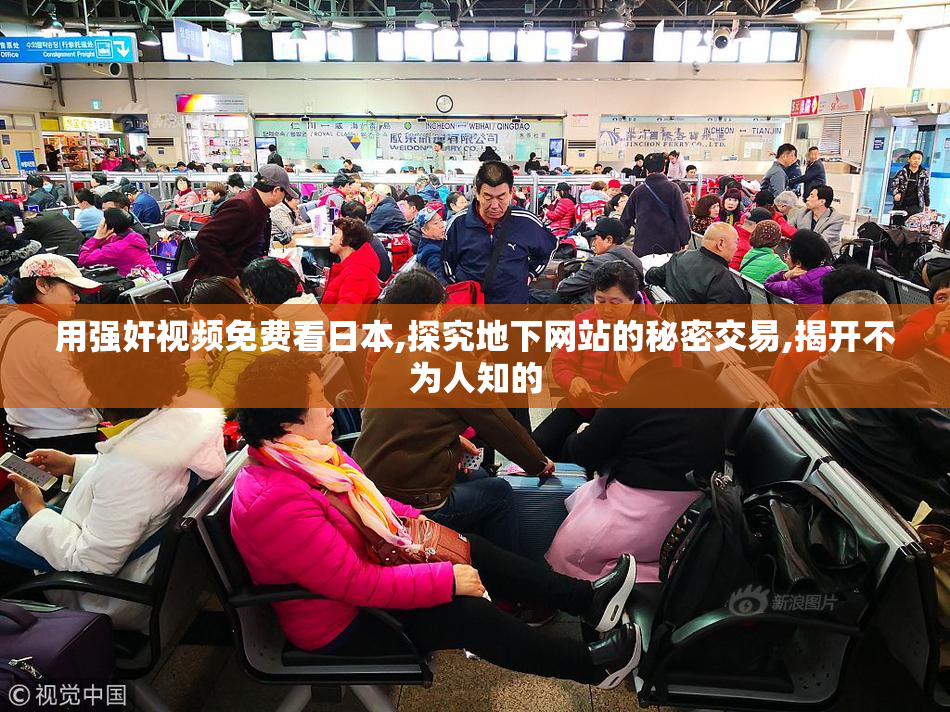 用强奸视频免费看日本,探究地下网站的秘密交易,揭开不为人知的