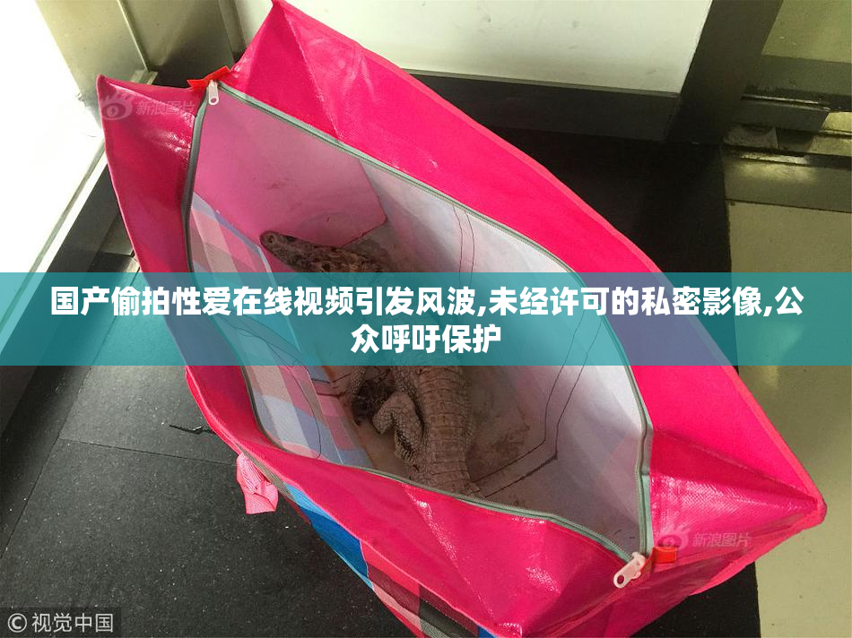 国产偷拍性爱在线视频引发风波,未经许可的私密影像,公众呼吁保护