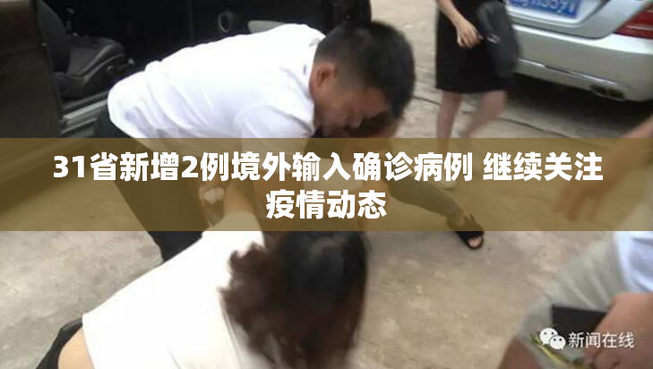 31省新增2例境外输入确诊病例 继续关注疫情动态