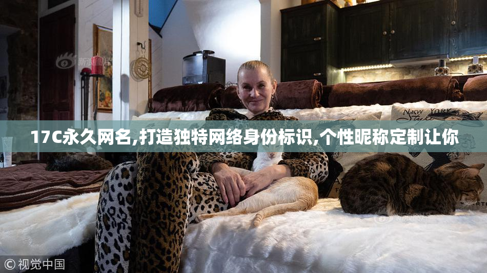 17C永久网名,打造独特网络身份标识,个性昵称定制让你