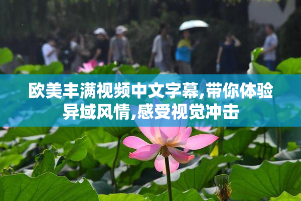 欧美丰满视频中文字幕,带你体验异域风情,感受视觉冲击