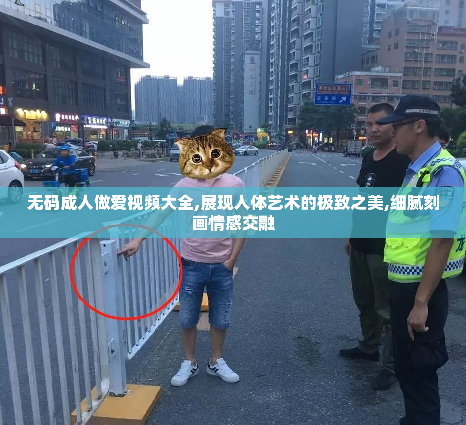 无码成人做爱视频大全,展现人体艺术的极致之美,细腻刻画情感交融