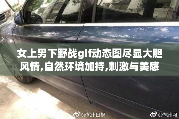 女上男下野战gif动态图尽显大胆风情,自然环境加持,刺激与美感